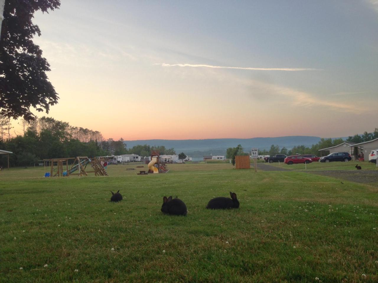 Upper Clements Cottages & Rv Park Annapolis Royal Dış mekan fotoğraf